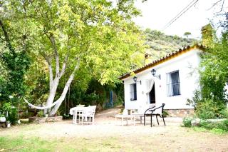 La casita del oso - 7