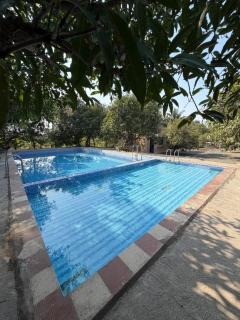 The Dreams of Kathiyawad - 5