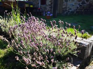 Casa Rural Ucedo - 7