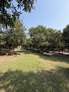 The Dreams of Kathiyawad - 7