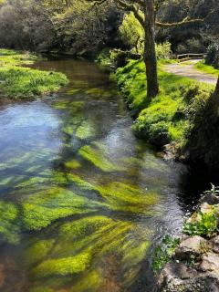 Cocon Nature !Quiétudes ,lumières et rivière - 8
