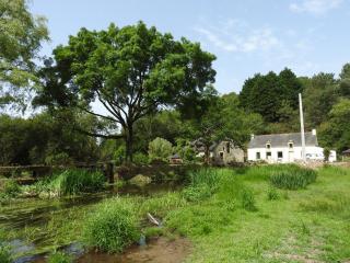 Cocon Nature !Quiétudes ,lumières et rivière - 7