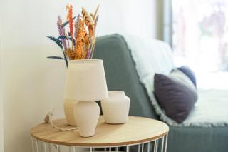 Γκαρσονιέρα 1 δίπλα στη θάλασσα! - Antikyra - 3