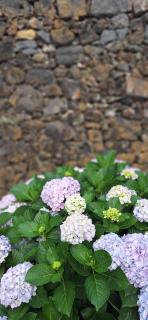 Villa Lagoa Family - Premium Location - 5