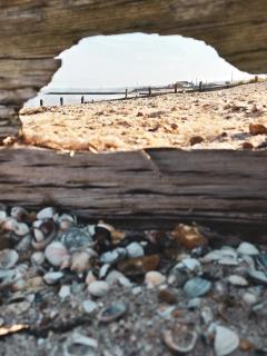 Whitstable staycation - Family & Pet Friendly - Alberta Holiday Park - 3