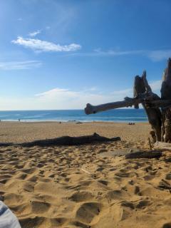 Appartement Lac marin - 8