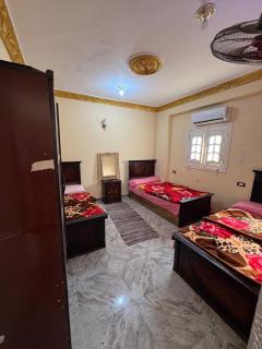 Siwa Star Hotel - فندق سيوة ستار - Siwa - 8