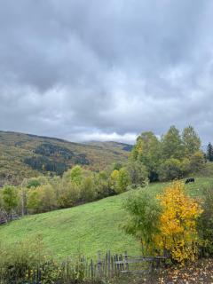 Belvedere Doftana - 8