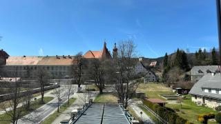 Das Steirer-Nest - 4