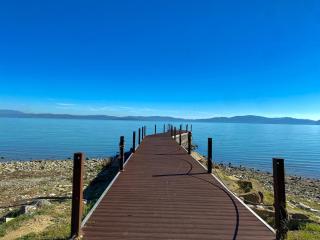 La Gatta sul Tetto - 9