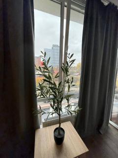 Chirie centru Chișinăului - Chişinău - 3