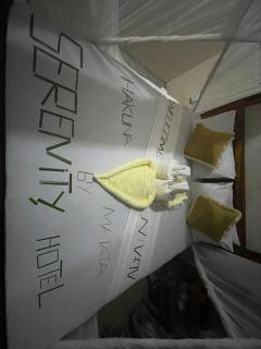 Serenity stay Kizimkazi - Kizimkazi - 3