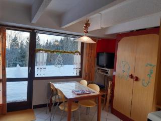 Studio cosy avec terrasse, proche des pistes - Chamrousse - FR-1-340-223 - 7