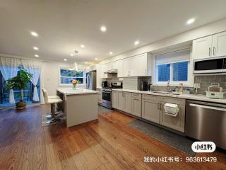 Quite room finch birchmunt - 3