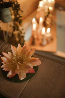 Bliss insolite Jacuzzi privée 5 min centre ville - 3