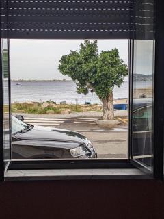 Mola Mola Beach House - 8