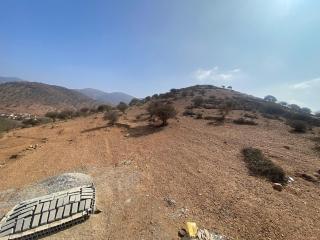 house surrounded by trees in a village - Tiznit - 9