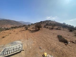 house surrounded by trees in a village - Tiznit - 4