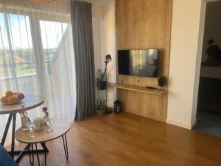 Apartament Niebieski Centrum Sarbinowo - 3