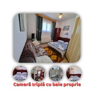 Pensiunea Wolfsberg - Văleni - 9