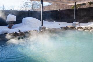 KAMENOI HOTEL Okunikko - 7