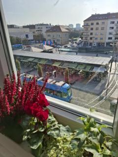 Apartman Jedro - 0