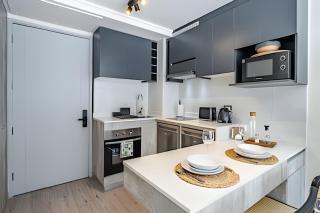 Depto ejecutivo y turístico – Santiago Centro - 5