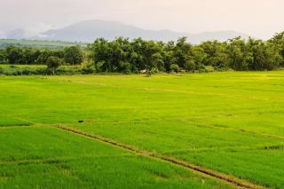 KYP Hotel โรงแรมขุนยูวเพลส - 4