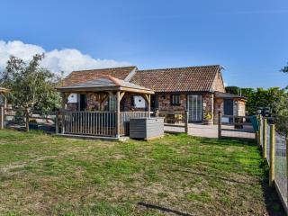 Elm - Uk50463 - Alvington - 1