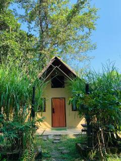 Thori Jungle Resort, chitwan National park - 8