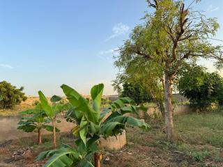 Haus in der natur 15 mn vom Flughafen Diass - Rufisque - 1