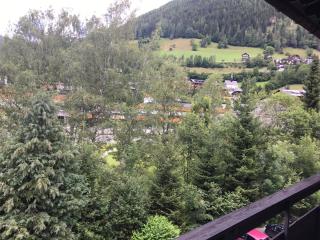 AAA Fewo Bad Kleinkirchheim - 7