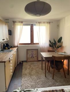 Nature-close guest room with garden - Private bath included - 9