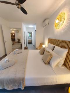 Renala - Bel appartement 3 ch - 6 pers - hypercentre de l'Hermitage à 2 minutes du lagon - 5