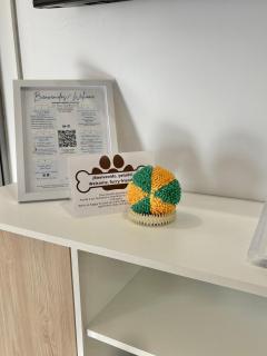 Apartamento familiar Alicante Playa San Juan - 5