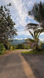 Charming Jayuya room with City, Garden, and Mountain Views - 3