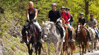 Sublime Vacation Rental for Unforgettable Family or Group Vacations in Dobson, North Carolina - 6