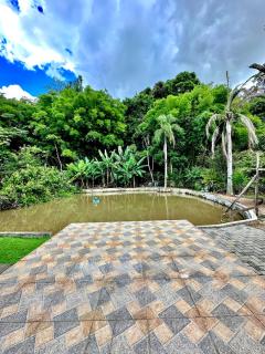 Chácara dos Pássaros - 6