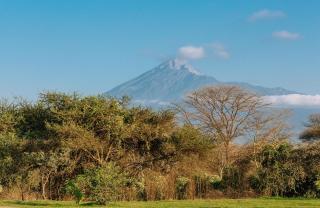 Kili Seasons Villas - 8