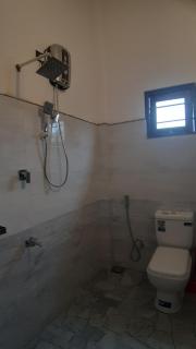 Sandy beach bloom - 3