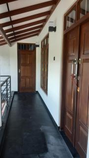 Sandy beach bloom - 2