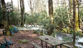 Rustic Log Cabin Rental with Picnic Area in Cosby, Tennessee - 7