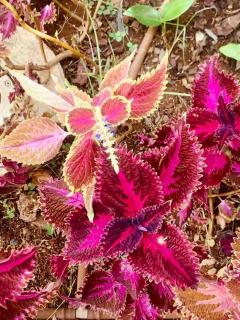 Apartment with Mountain View - 3