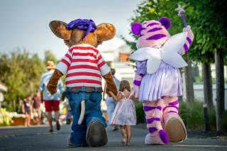 Siblu Camping in de Bongerd - 6