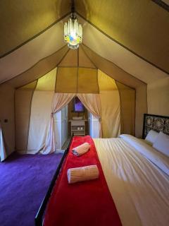 Luxury Suerte Camp - 8