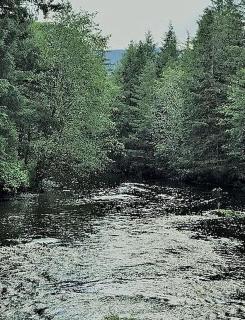 Charming A-Frame Cabin Rental on Prince of Wales Island in Hollis, Alaska - 1