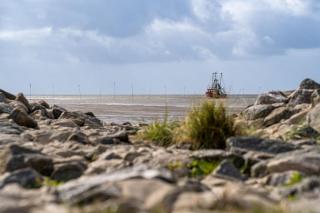 Ferienhaus "Meyer" Westertill 25 - 5