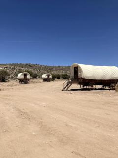 Grand Canyon Covered Wagon for Family-Friendly Glamping in Meadview, Arizona - 0