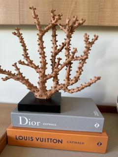 Casa Malibu_Praia do Forte - 3