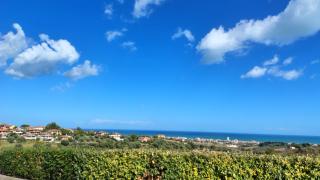 Colle al mare 34 - rooms & bike - affittacamere - 3